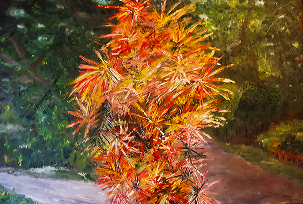 Il Linguaggio della natura