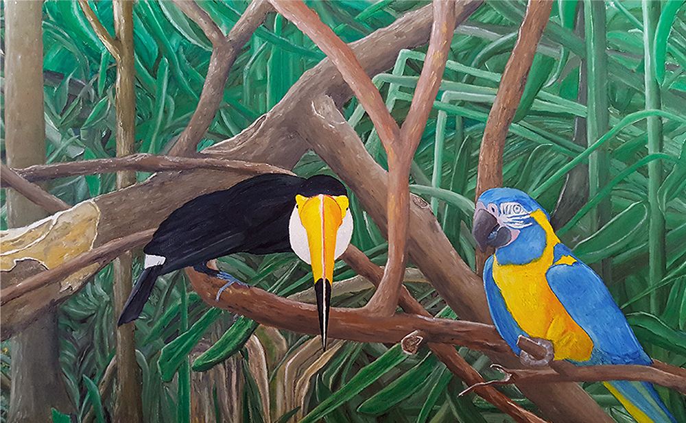 Tucano con Pappagallo